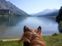 /album/engadin/p1000232-kl-jpg/